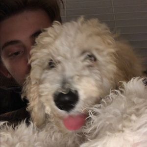 Meet your Posher, Matthew